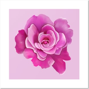 Pink Rose Drawing Posters and Art